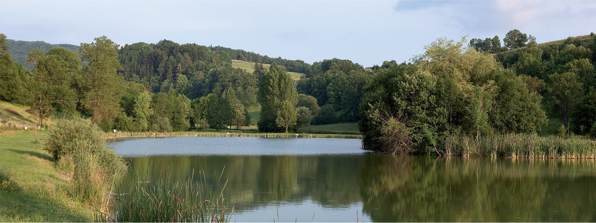 Environs Hotel restaurant Ain