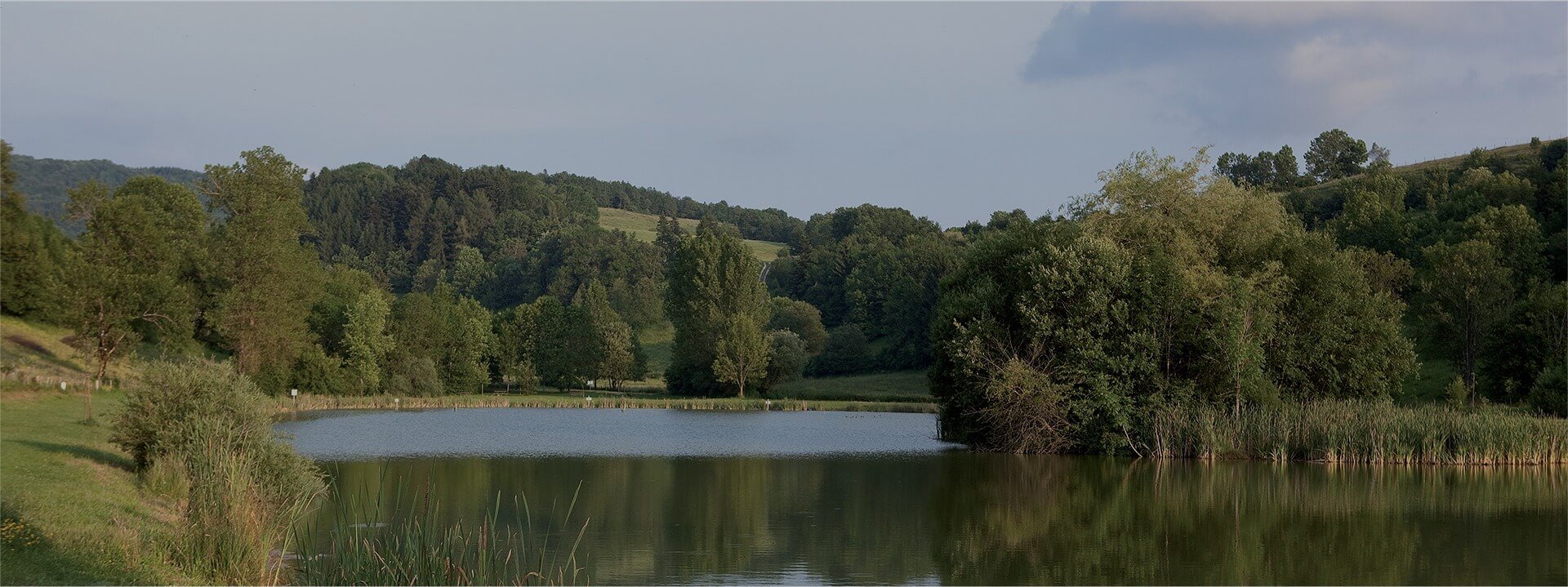 Lac Hotel restaurant Ain