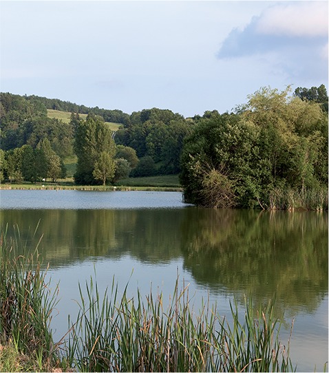 Les Environs Hotel restaurant Ain